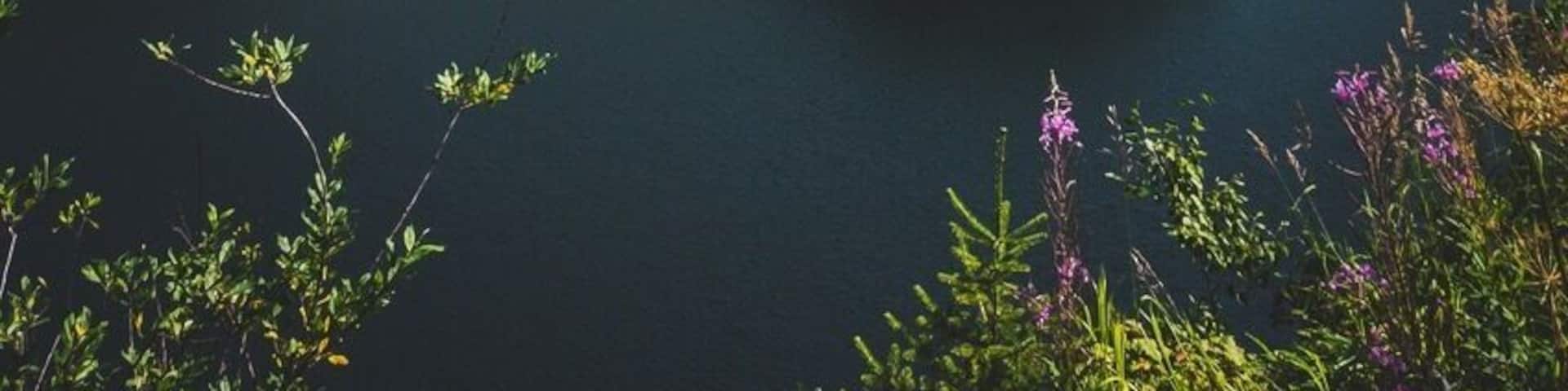 Taken near a ski resort in the Pine Pass, this is one of my favourite road side pull outs. How epic is this view?!
#BvSMountains
#Mountains
#canada
#britishcolumbia