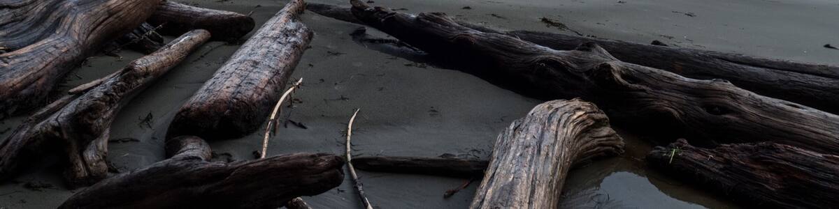 Not much known is the 11km Wildside trail on Flores Island, accessible by water taxi from Tofino.
#hiking #beach #beaches #yourtofino