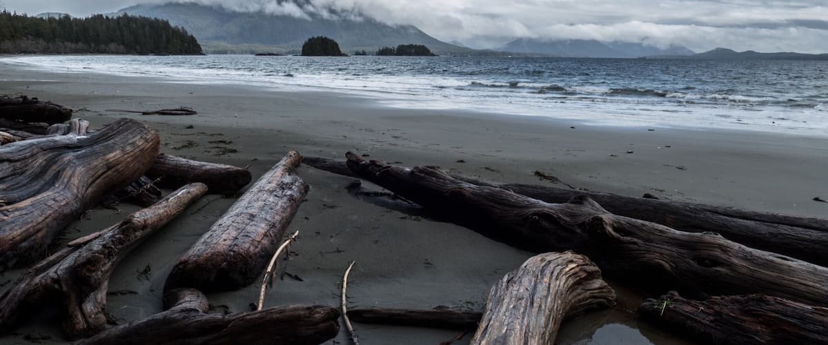 Not much known is the 11km Wildside trail on Flores Island, accessible by water taxi from Tofino.
#hiking #beach #beaches #yourtofino
