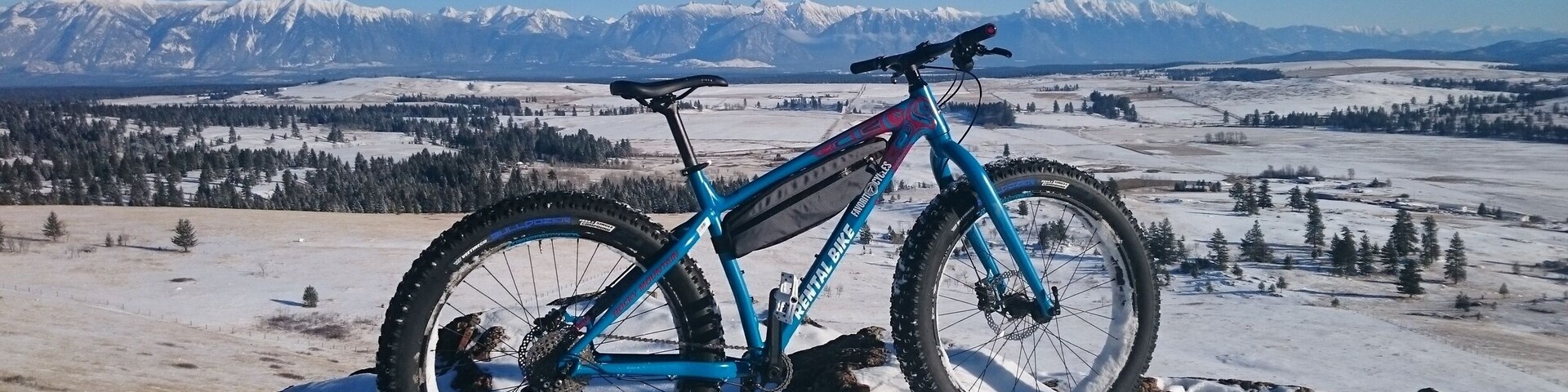 Great place to hike or bike and enjoy the protected nature conservatory.