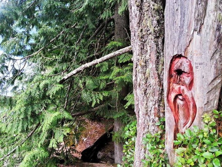 Sasquatch? Silver Lake Provincial Park near Hope, British Columbia