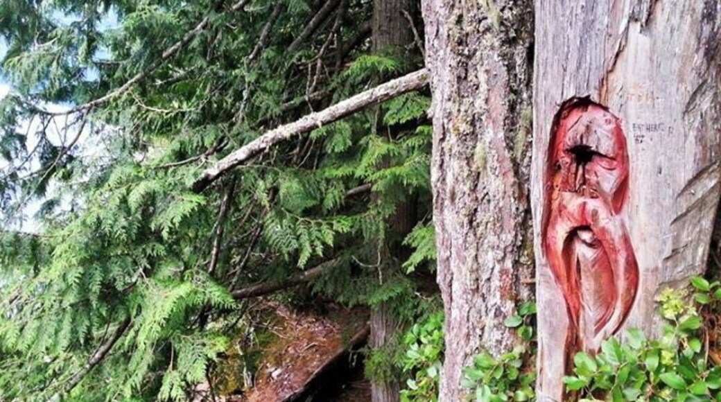 Sasquatch? Silver Lake Provincial Park near Hope, British Columbia