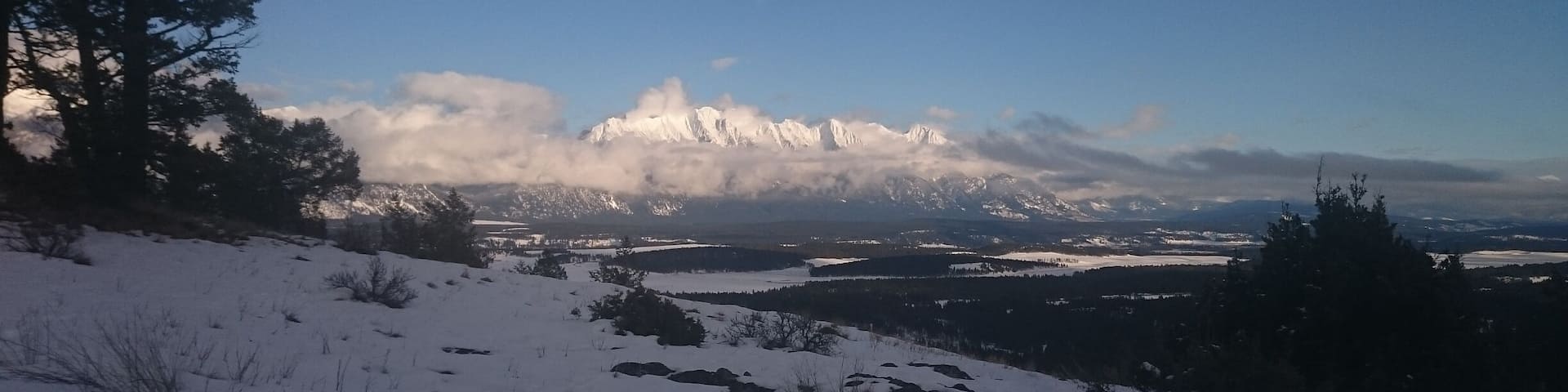 Nice place to walk anytime of year! Part of the awesome Cranbrook Community Forest lands.