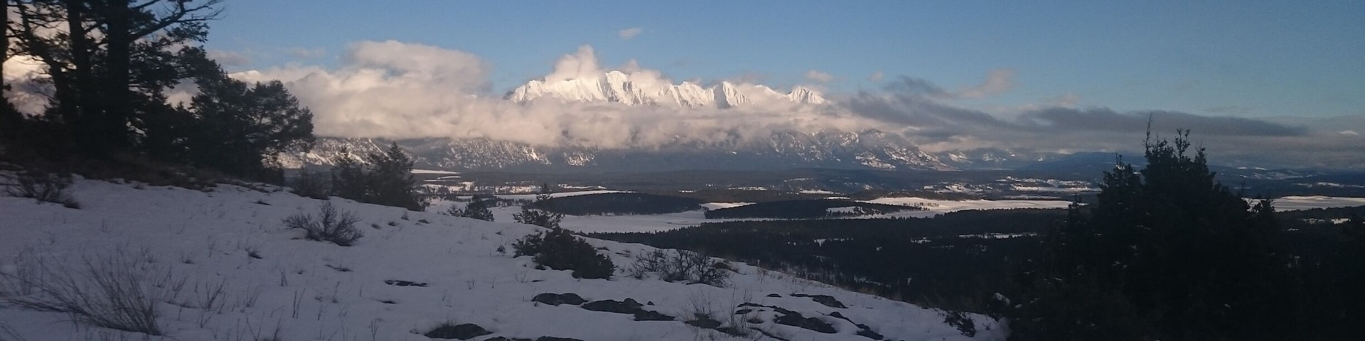 Nice place to walk anytime of year! Part of the awesome Cranbrook Community Forest lands.