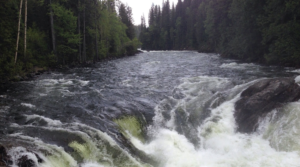 I believe these falls were called Dawson's Falls. I wasn't able to get a good shot as there is a bridge over top of it. The sound of these falls / rapids was intense and incredibly loud. The water rushed on by with a force I haven't seen since visiting Niagara Falls. It was almost frightening.