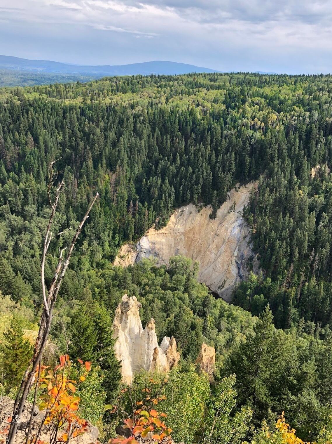 Pinnacles Provincial Park protects a very unique formation of hoodoos. These hoodoos began their formation 12 million years ago, when molten lava flowing over the earth’s surface cooled in flat basalt layers over older layers of ash and rock. The Ice Age followed, and when the ice mass receded, melt-water streams eroded the valley below Pinnacles Park. The hoodoos are formed from the effects of this natural erosion and weathering. The basalt is eroded away, revealing the more resistant ash layer, and often producing vivid bands of color as individual basalt layers are removed. The hoodoos at Pinnacles Provincial Park are fragile, since they are still undergoing these forces of erosion and weathering. (September 2019)

#History