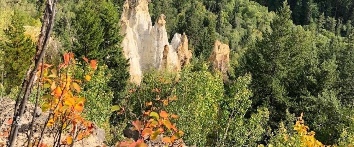 Pinnacles Provincial Park protects a very unique formation of hoodoos. These hoodoos began their formation 12 million years ago, when molten lava flowing over the earth’s surface cooled in flat basalt layers over older layers of ash and rock. The Ice Age followed, and when the ice mass receded, melt-water streams eroded the valley below Pinnacles Park. The hoodoos are formed from the effects of this natural erosion and weathering. The basalt is eroded away, revealing the more resistant ash layer, and often producing vivid bands of color as individual basalt layers are removed. The hoodoos at Pinnacles Provincial Park are fragile, since they are still undergoing these forces of erosion and weathering. (September 2019)
#History