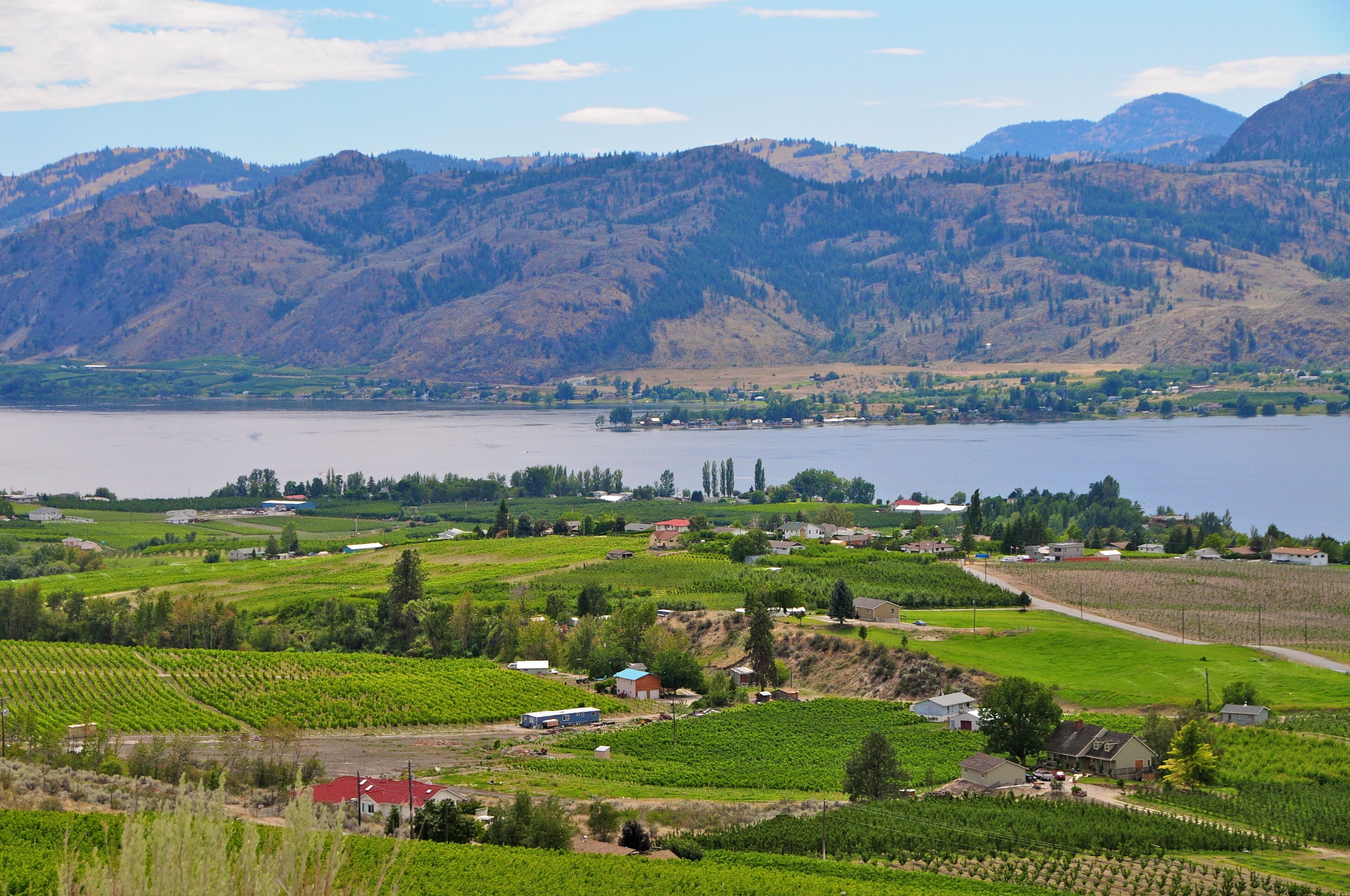 Okanagan Valley vineyards, British Columbia