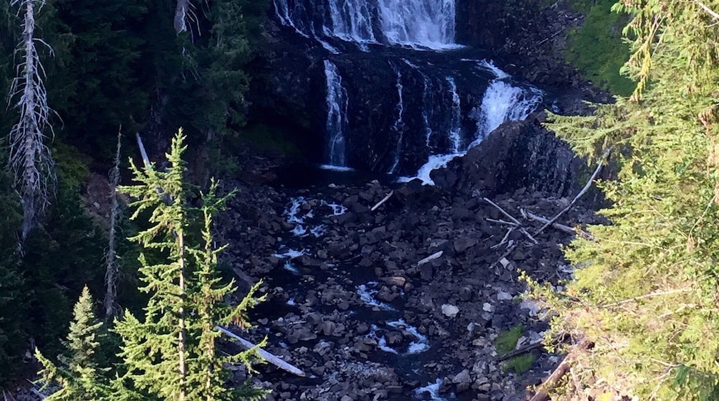 On the way to Whistler, this is a short (less than 10min drive off the main road to whistler, after Squamish and after Brandywine falls). And around 15min from the main village. Definitely worth the detour. You can't get very close, but it's still beautiful (even after a warm, minimal snow/rain year). Watch out for bears (although I didn't get to see any).