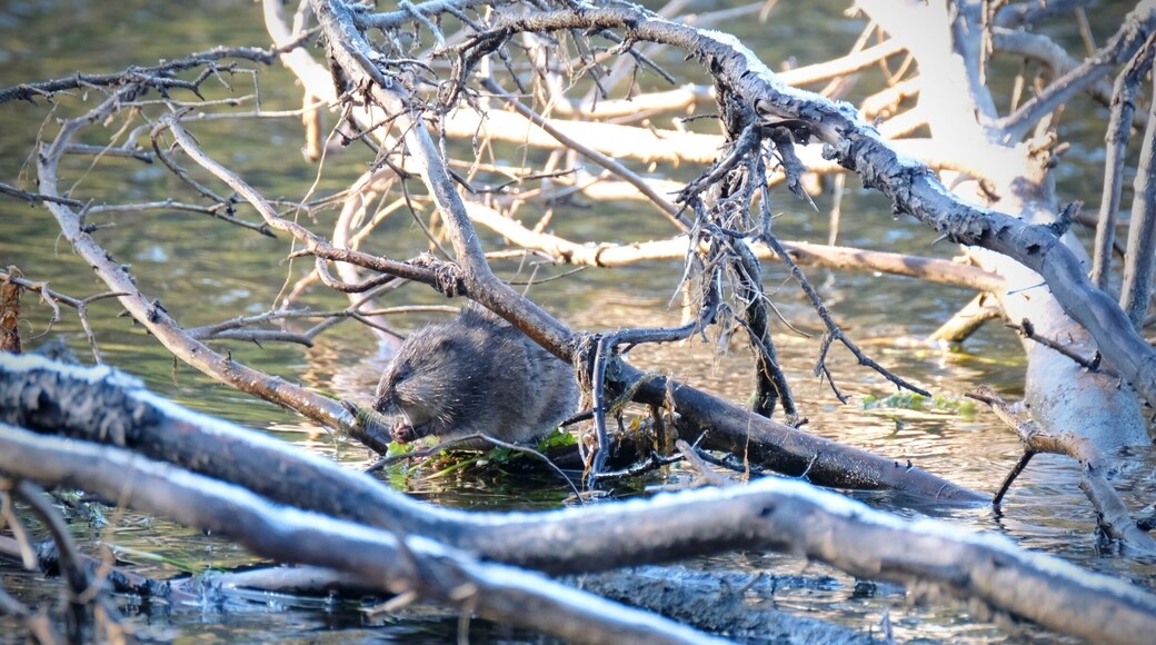 What a beautiful way to start a day