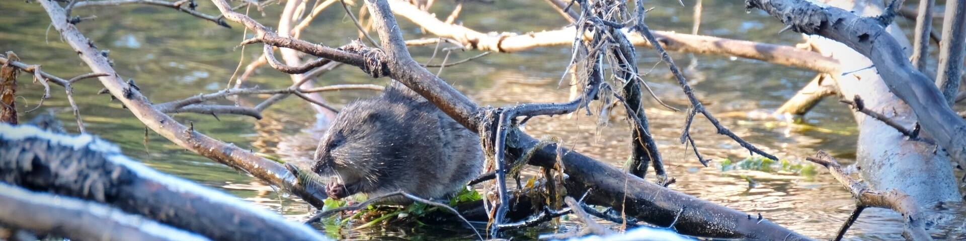 What a beautiful way to start a day