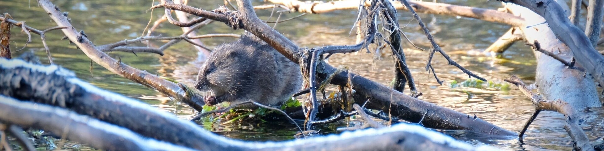 What a beautiful way to start a day