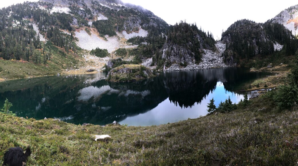Unnamed Lake in the meadows along the way to Tricouni Peak.