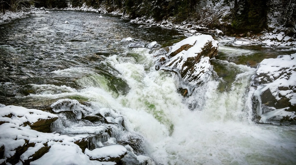 The drive to Helmcken Falls. Slippery driving conditions but felt like you were trapped in a snow globe.