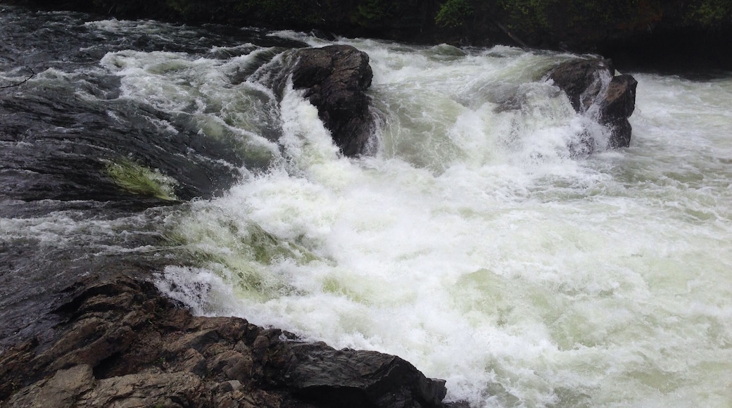 Pinnacle Mountain looms 1000 ft over the green Arkansas landscape, the beginning of the Ouachita Mountain Range. Numerous trails take explorers around the base and throughout the park, those daring can climb a milder West Summit Trail or challenge the steep rocky terrain of the East Summit.