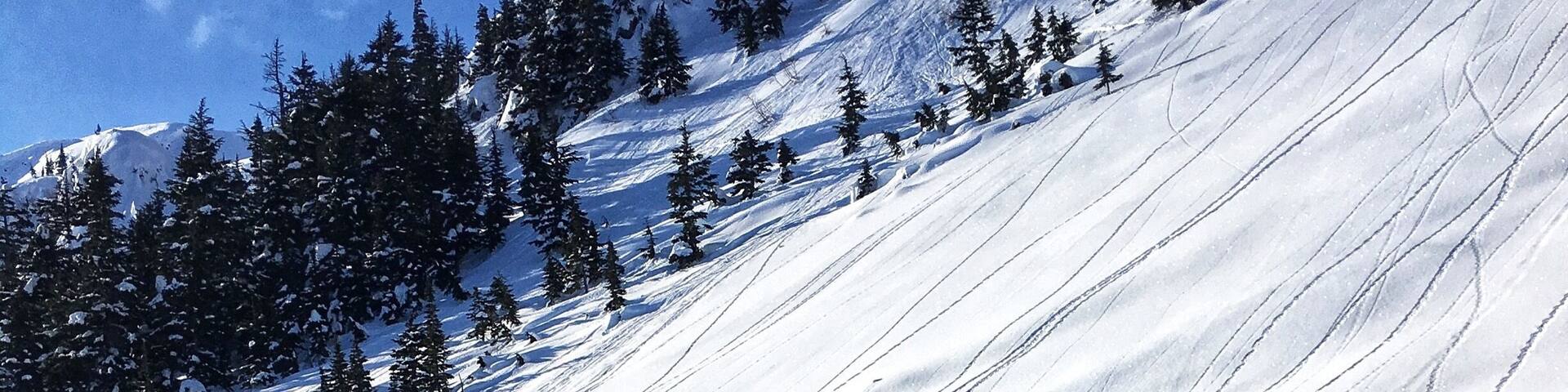 Off the small resort of Shames is a network of seemingly endless skin tracks, check out the trail map 🗺 which includes backcountry areas and enjoy the Powder snow in Northern British Columbia 🇨🇦 #snow #winter #skiing