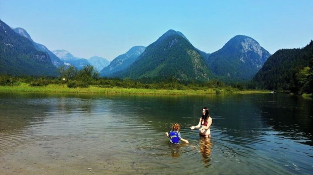 The water felt so good in the hot sun.
Widgeon Creek. Pitt Meadows, British Columbia