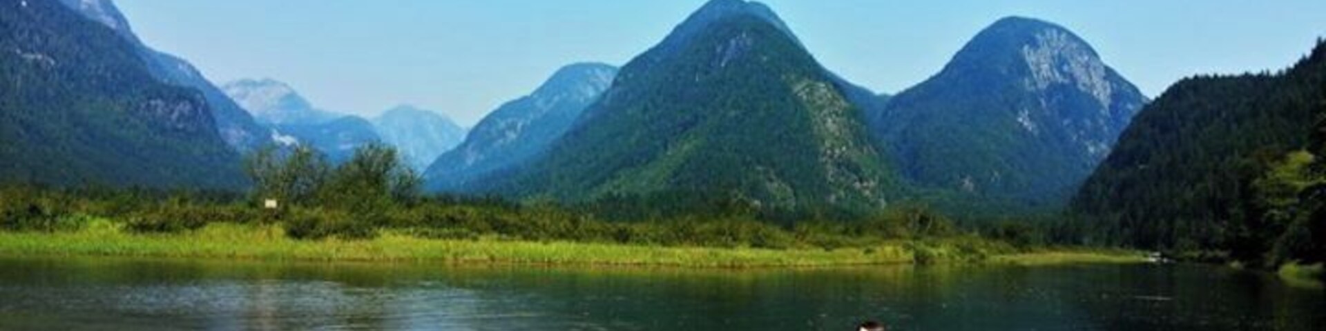 The water felt so good in the hot sun.
Widgeon Creek. Pitt Meadows, British Columbia
