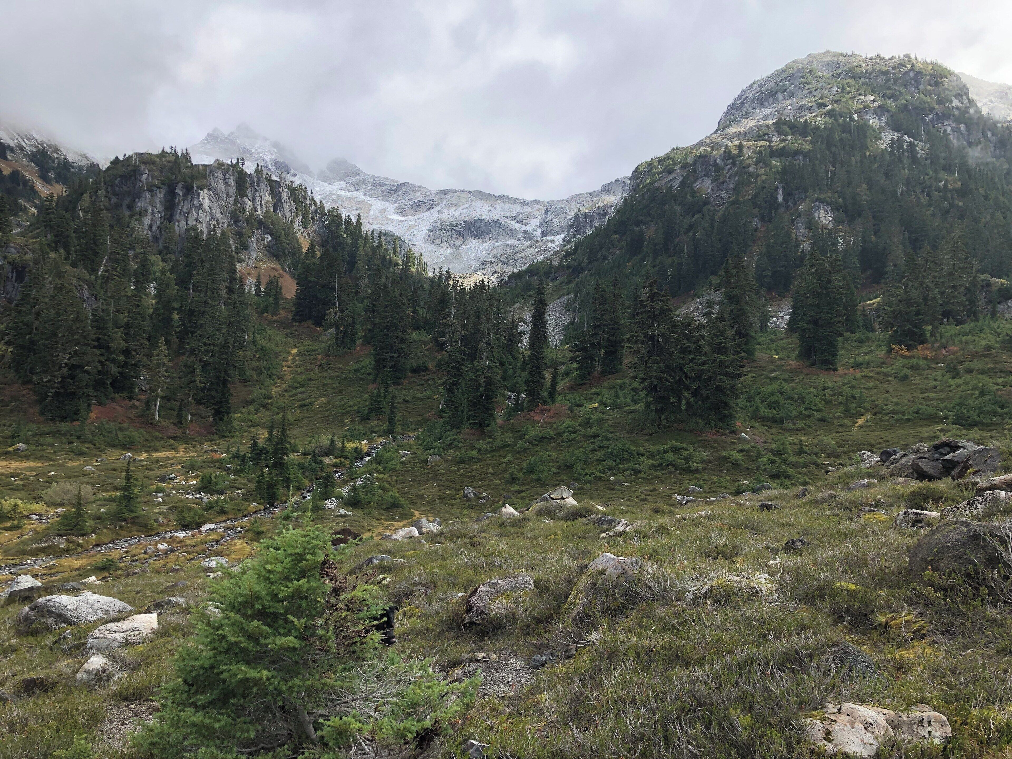 Snow in the background