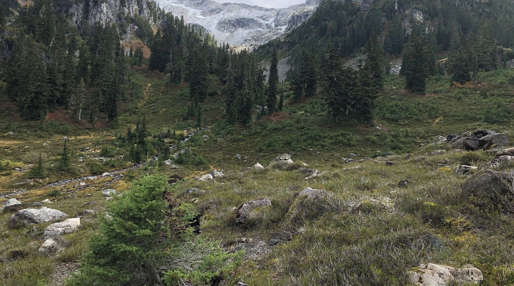 Snow in the background