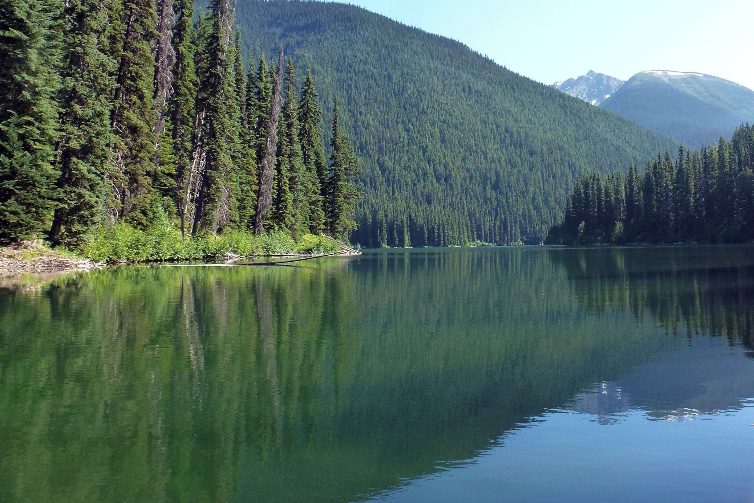 Canoes can be hired and in lateish afternoon the Lake was quiet, amazingly peaceful and very scenic. #GreatOutdoors