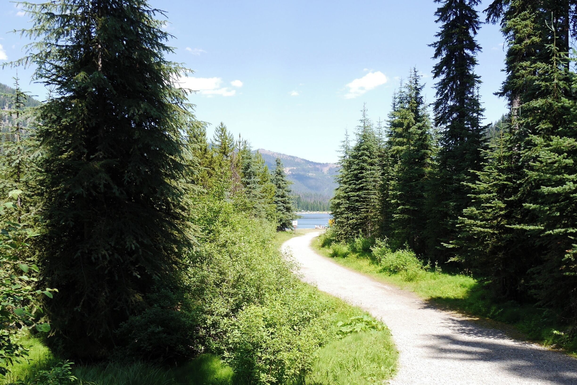 Pathway down to beautiful Spruce Bay Beach on Lightning Lake in Manning park Provincial park.