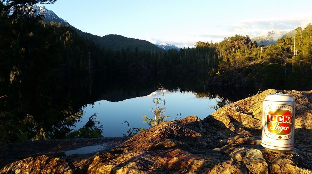 So many sweet spots off the side of the highway