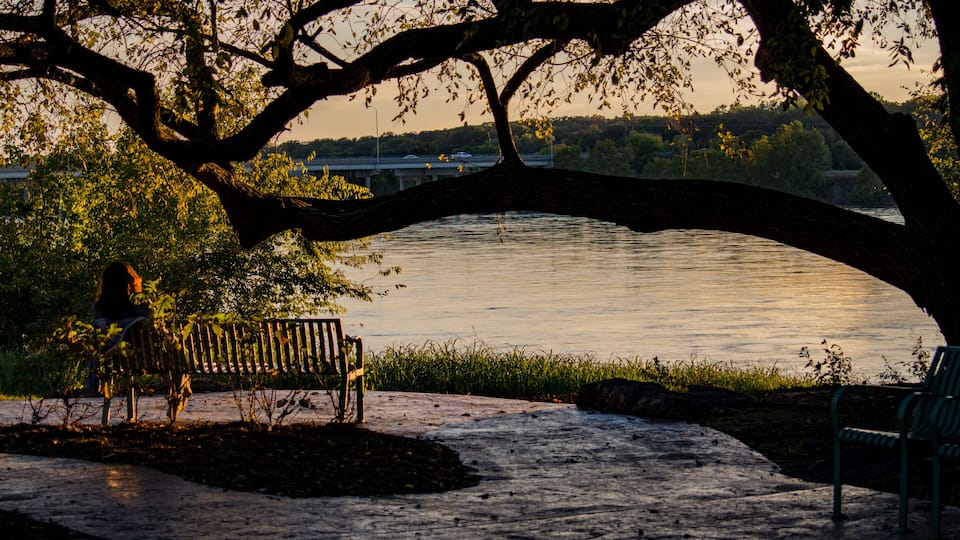 A park with a bench under a large tree by a calm lake, with a bridge in the background.