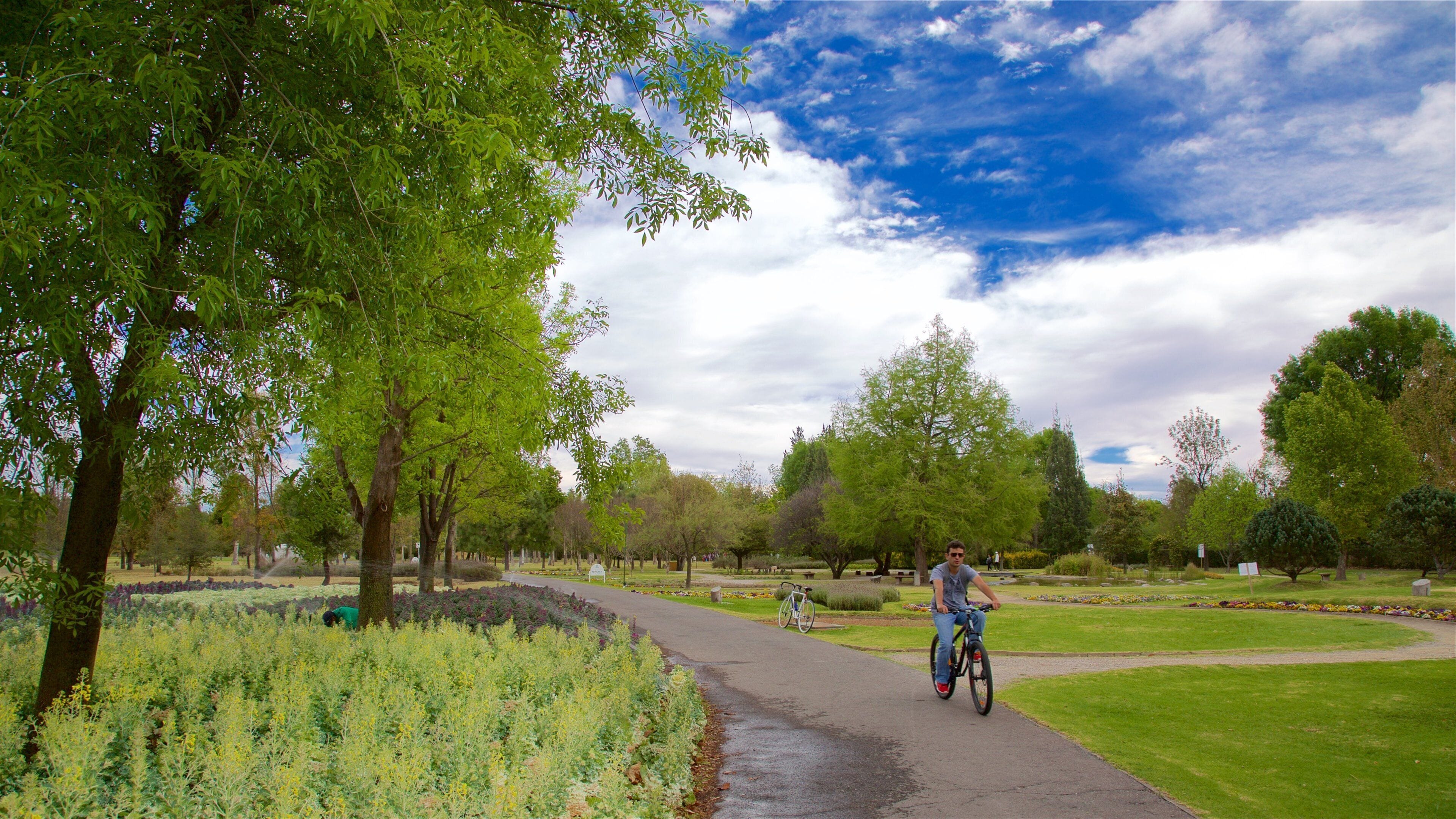 Mexico, Estado de featuring a park and cycling as well as an individual male