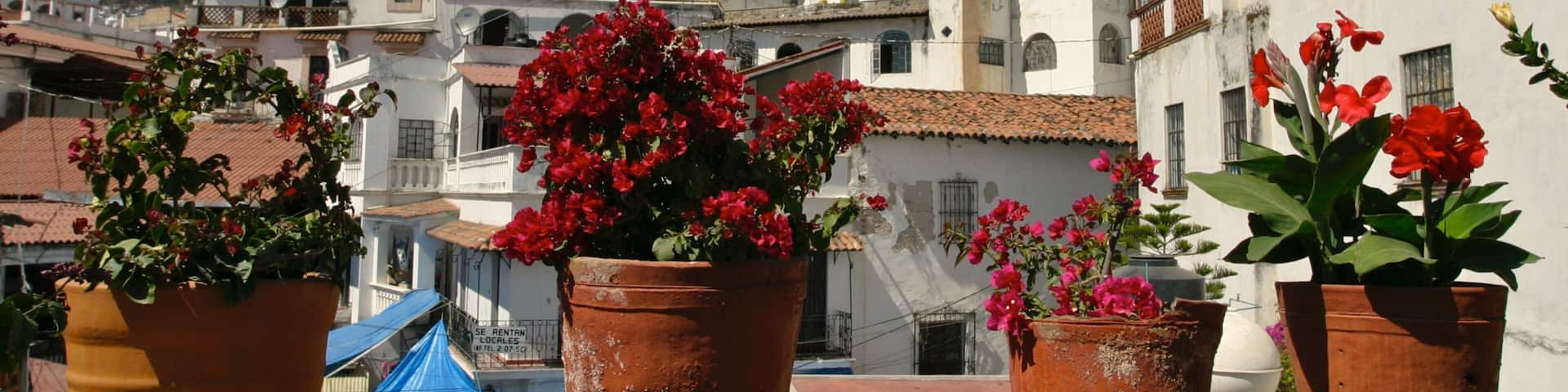 Mexico which includes a coastal town
