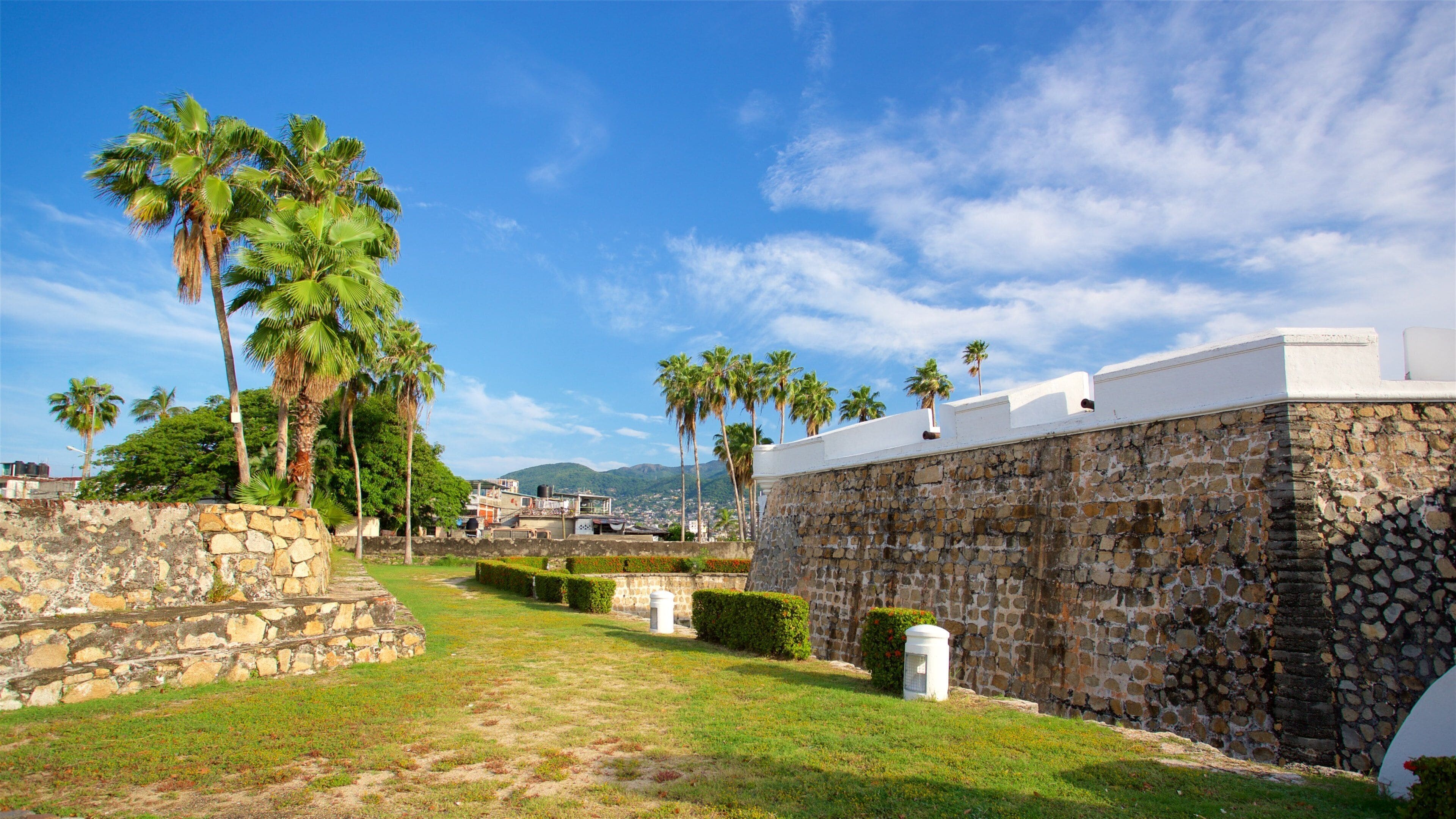 A stone wall with palm trees and a clear blue sky.