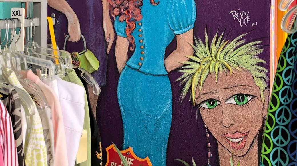 Mural at a shop in the Art District.
#mural #art