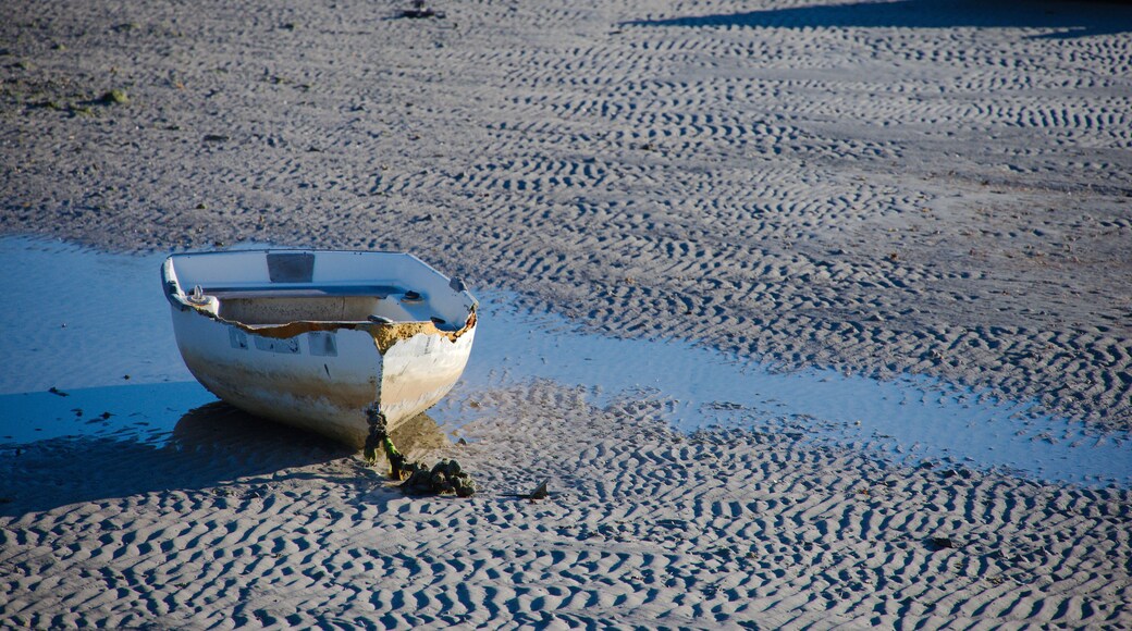 A lone Small White Boat Resting on Wet Sand with Ripples, a Shallow Pool, and Calm Beach Scene in Gulfport, FL. Low tide on damp sand next to a shallow tidal pool, creating a tranquil coastal scene wi