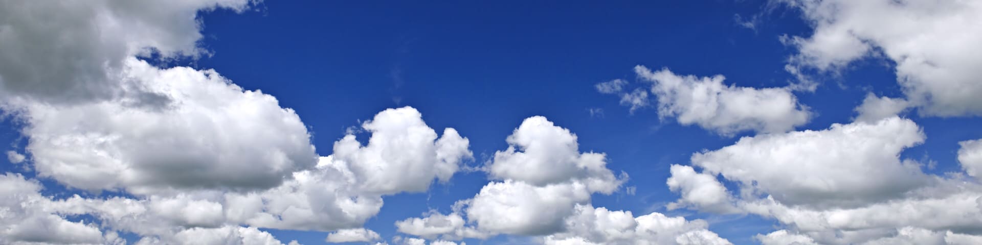 Agricultural landscape of canola or rapeseed farm field in Manitoba, Canada