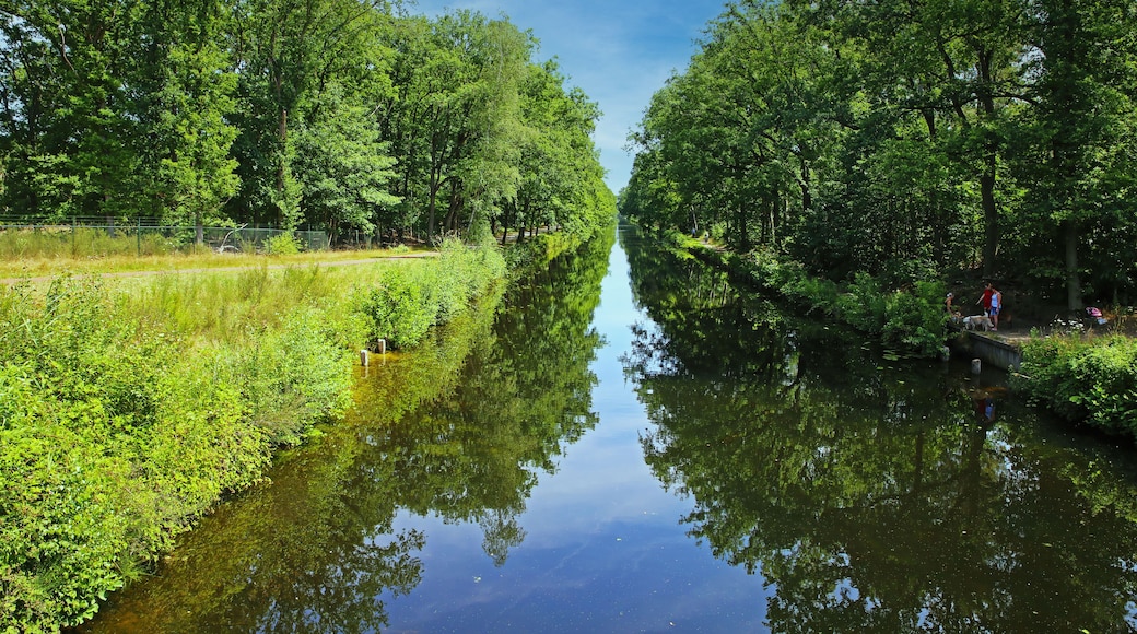 Eindhoven, Netherlands - July 17. 2022: Beautiful dutch water canal (Eindhovensche Kanaal) through green forest, cycling bike path