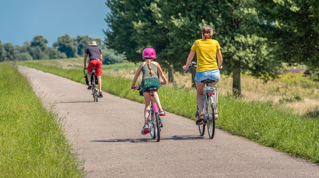 A father, mother and daughter are cycling on a Dutch dike. The little girl is wearing a pink bicycle helmet. It is a sunny day in summertime. The photo was taken in the province of North Brabant.