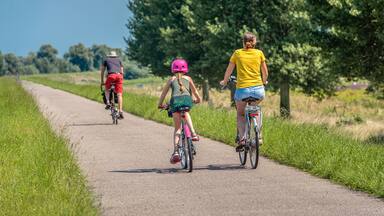 A father, mother and daughter are cycling on a Dutch dike. The little girl is wearing a pink bicycle helmet. It is a sunny day in summertime. The photo was taken in the province of North Brabant.