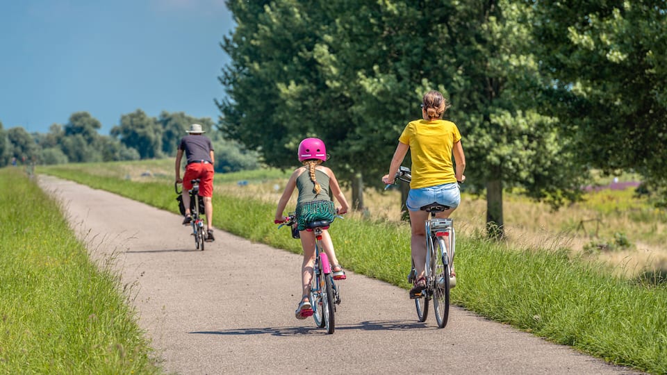 A paved path with cyclists, surrounded by grass and trees.