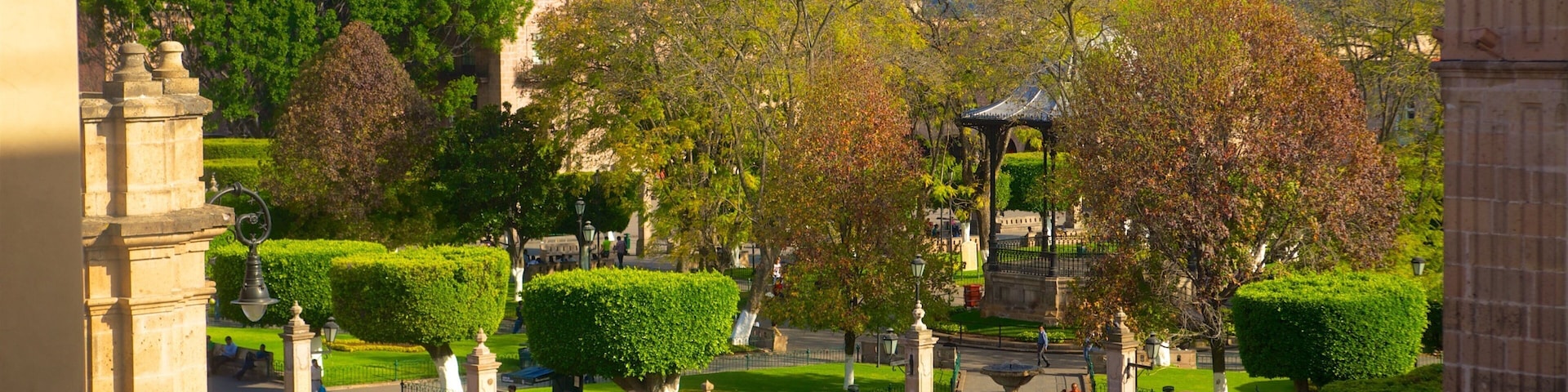 Mexico featuring a garden and street scenes as well as a small group of people