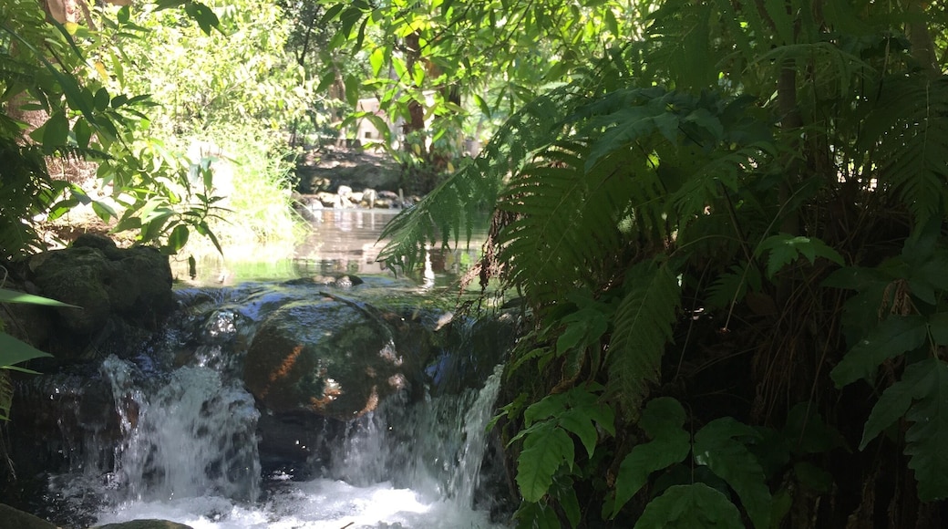 Aguas termales cerca de Cuernavaca Morelos, México