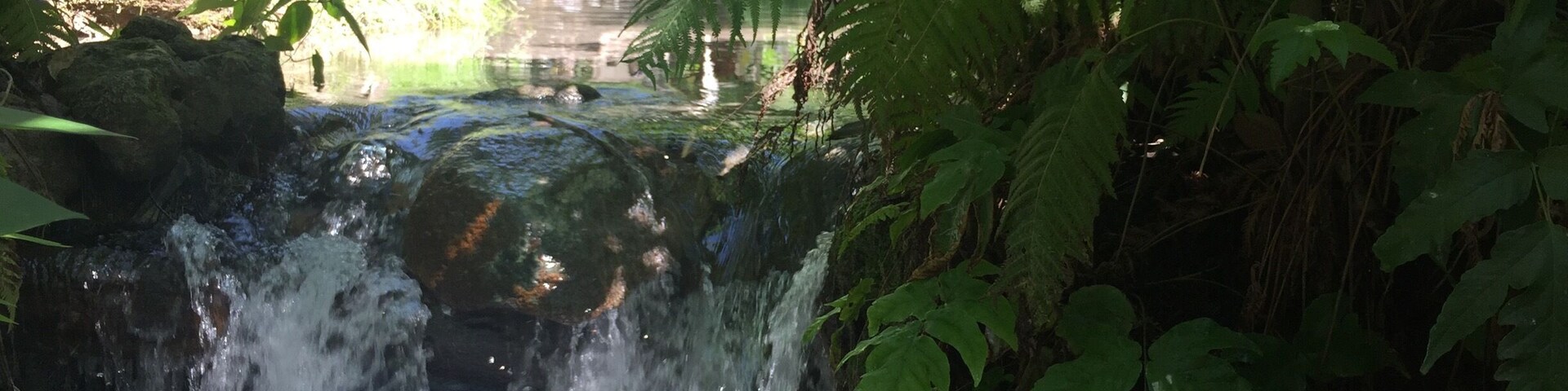 Aguas termales cerca de Cuernavaca Morelos, México