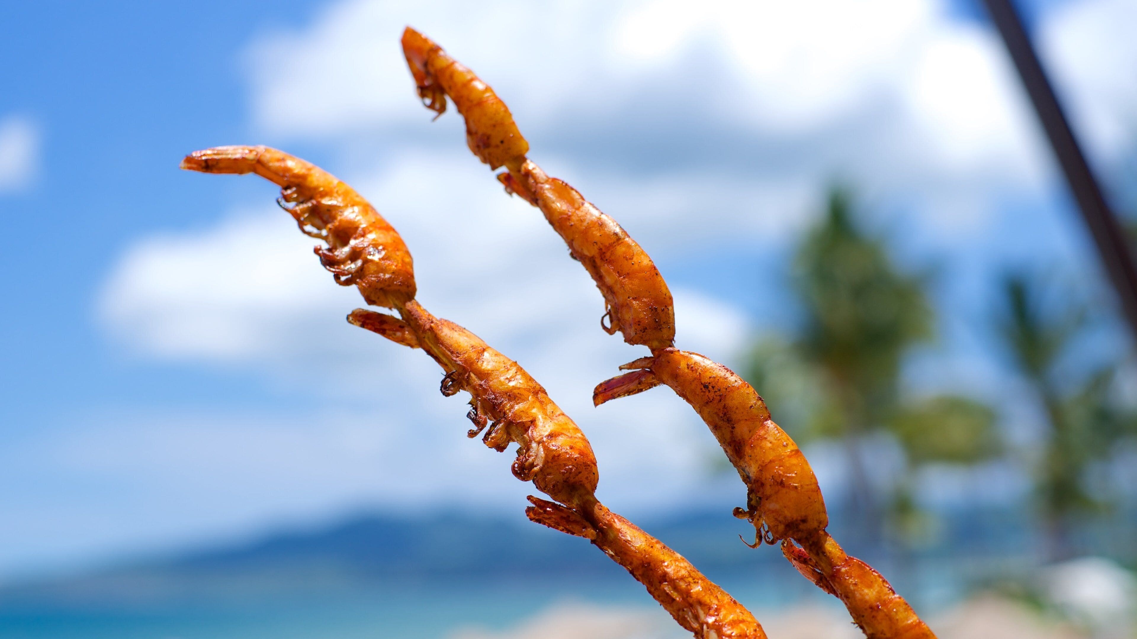 Nuevo Vallarta som inkluderer mat