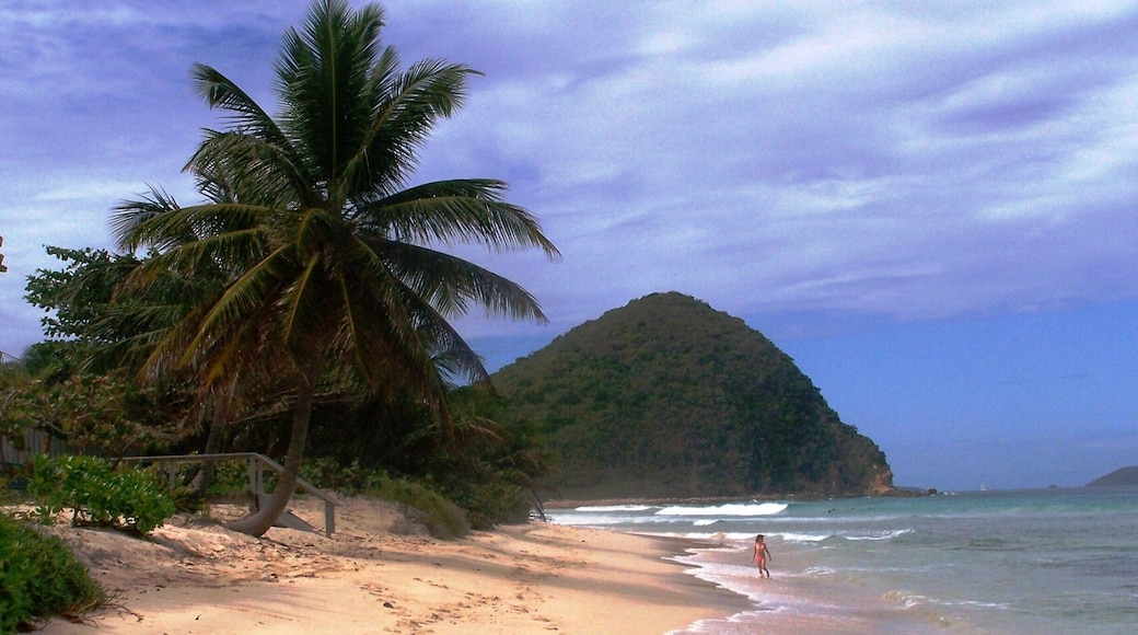 Rather than booking an excursion with the cruise ship, we did one of our own, and found a great beach. Had it practically to our ourselves.