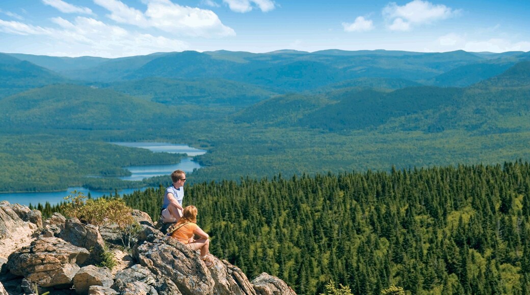 Nuevo Brunswick mostrando bosques y también una pareja