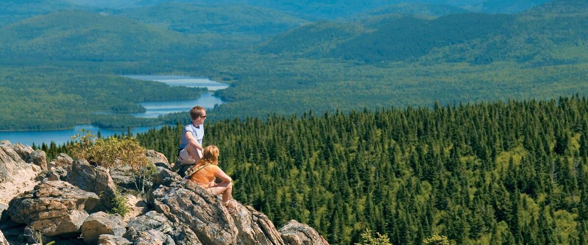 Nouveau-Brunswick mettant en vedette forĂȘts aussi bien que couple