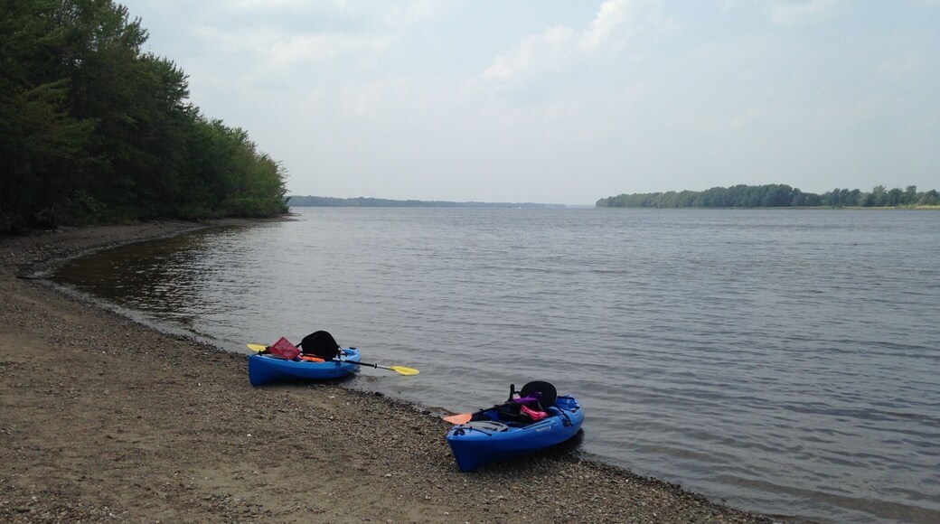 Kayaked for 30km on the St John River, New Brunswick in August 2014.