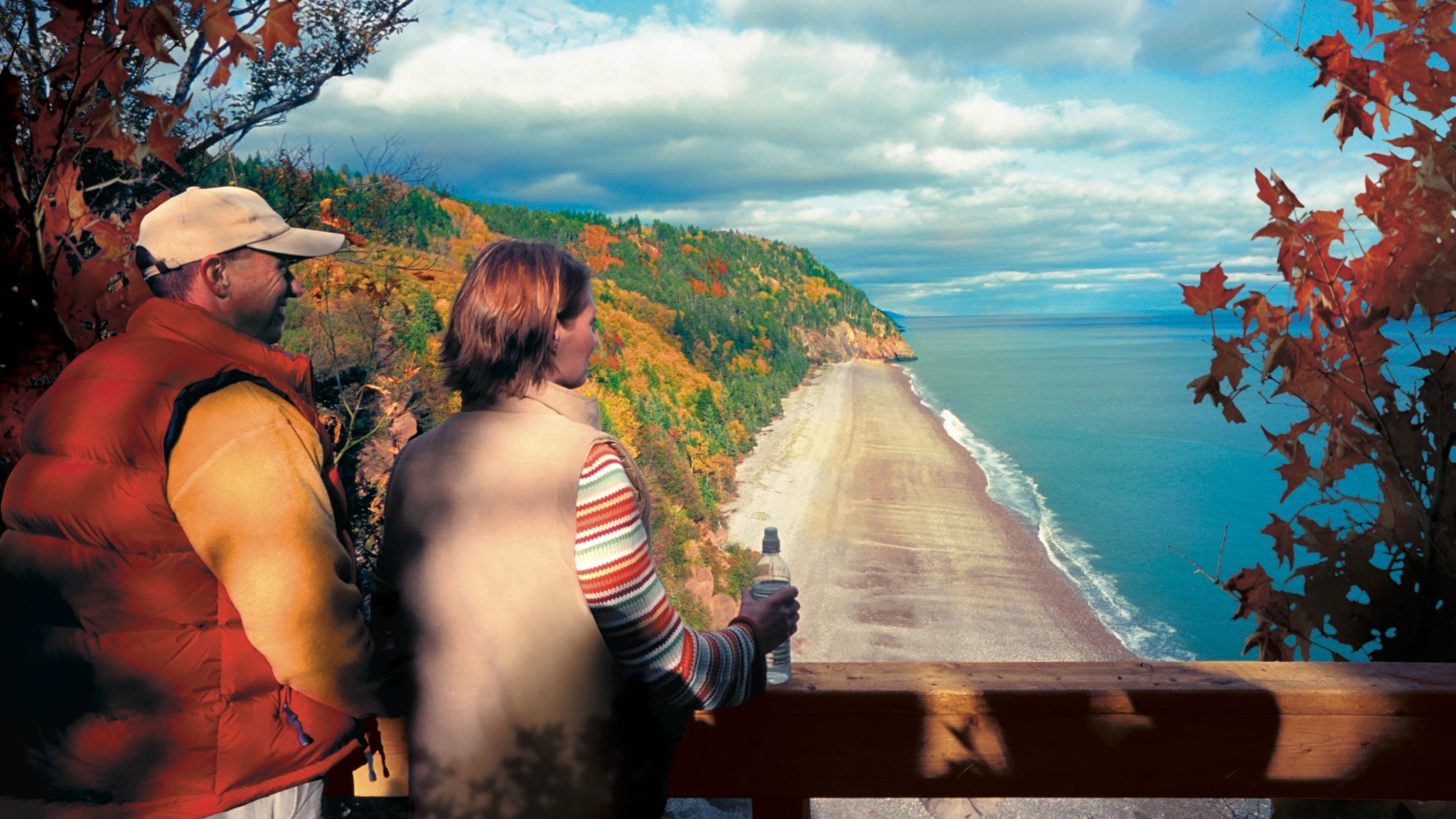 Nuevo Brunswick que incluye hojas de otoño, vistas generales de la costa y vistas