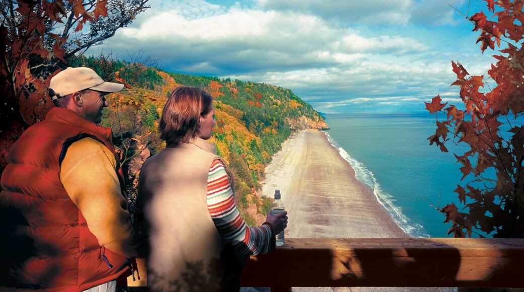 Nuevo Brunswick que incluye hojas de otoño, vistas generales de la costa y vistas