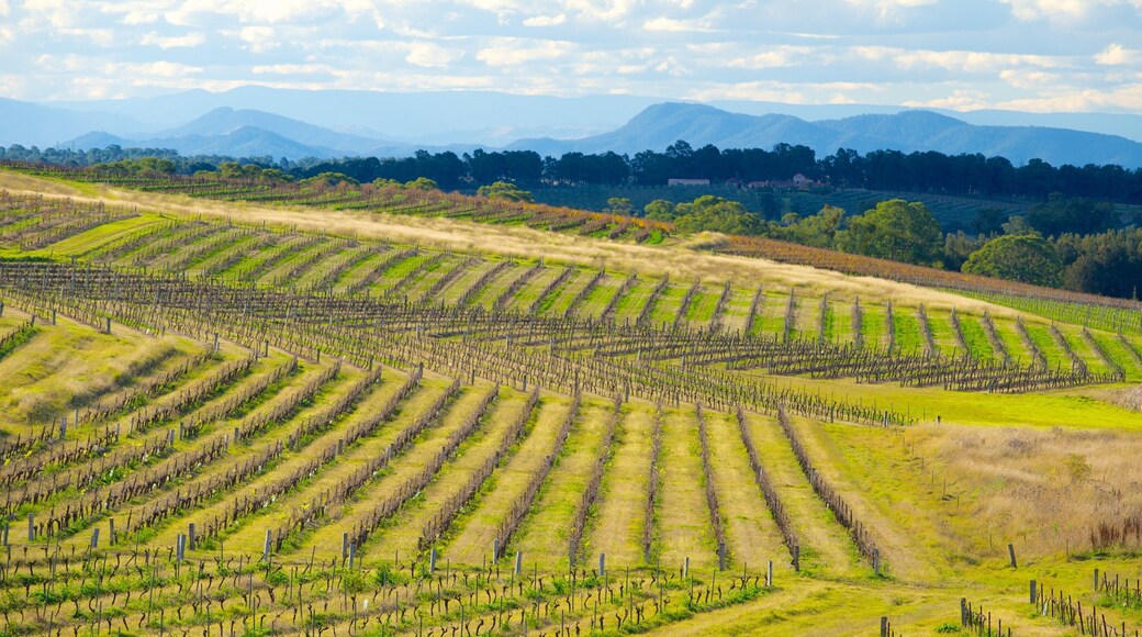 New South Wales showing farmland and landscape views