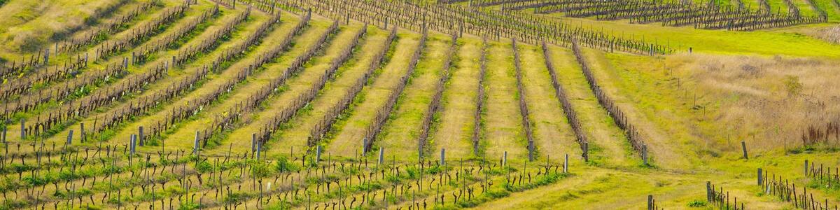 New South Wales showing farmland and landscape views